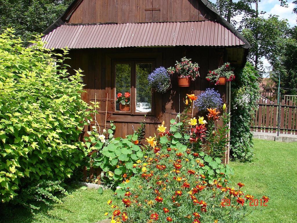 Modrzew Apartment Закопане Екстериор снимка